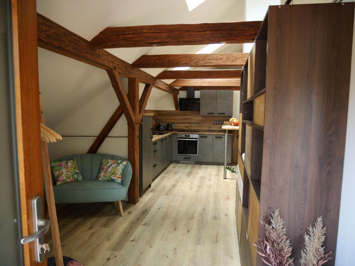 Apartman Danuse Česká Lípa Zewnętrze zdjęcie