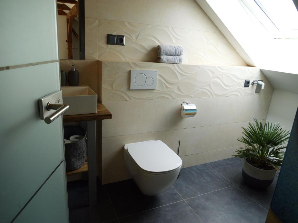 Apartman Danuse Česká Lípa Zewnętrze zdjęcie