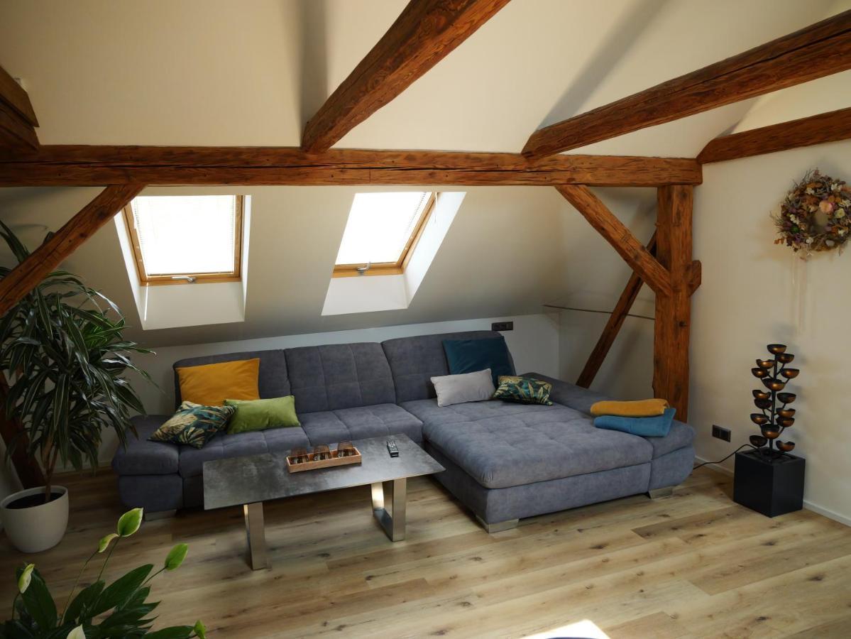 Apartman Danuse Česká Lípa Zewnętrze zdjęcie