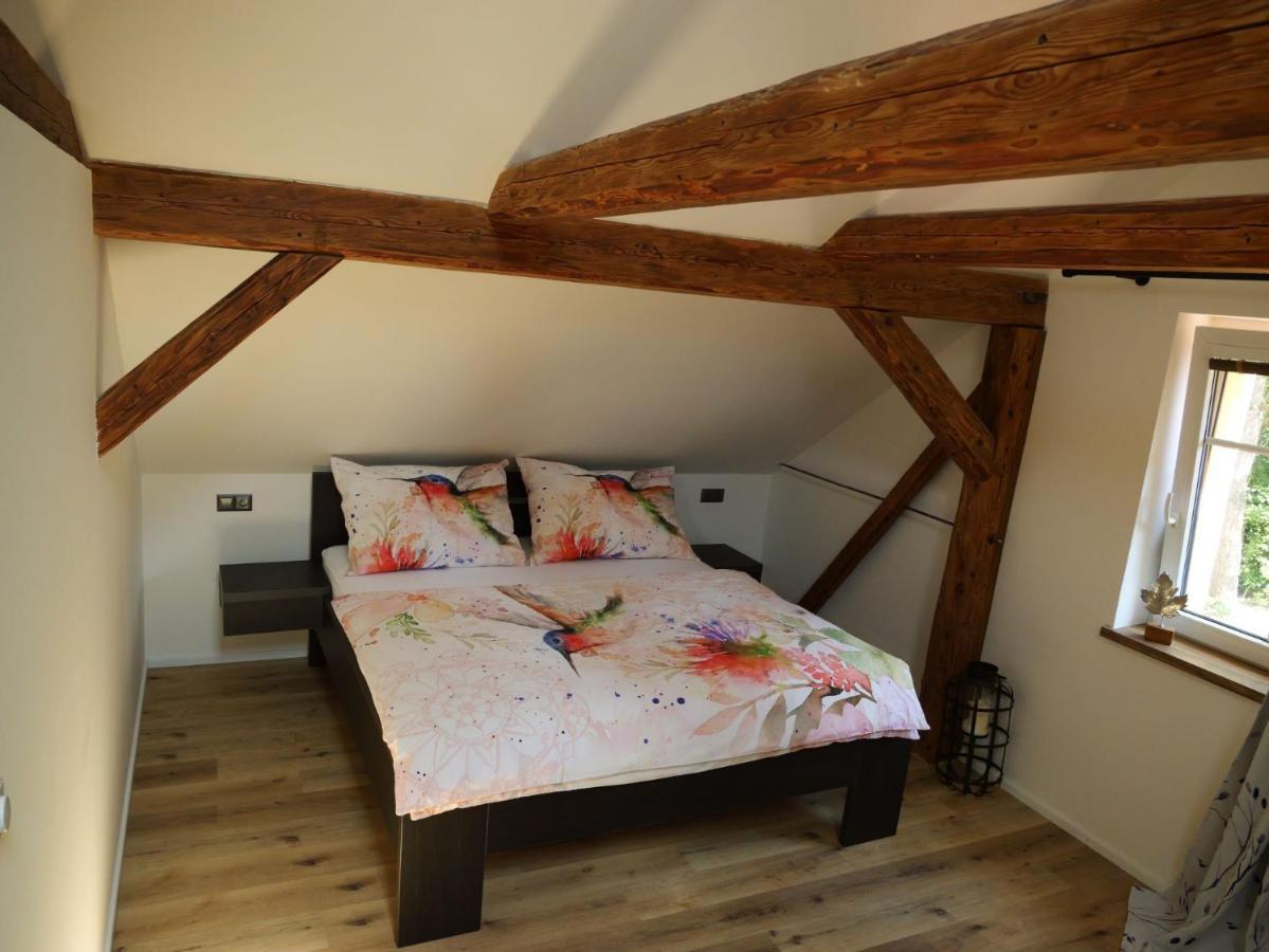 Apartman Danuse Česká Lípa Zewnętrze zdjęcie