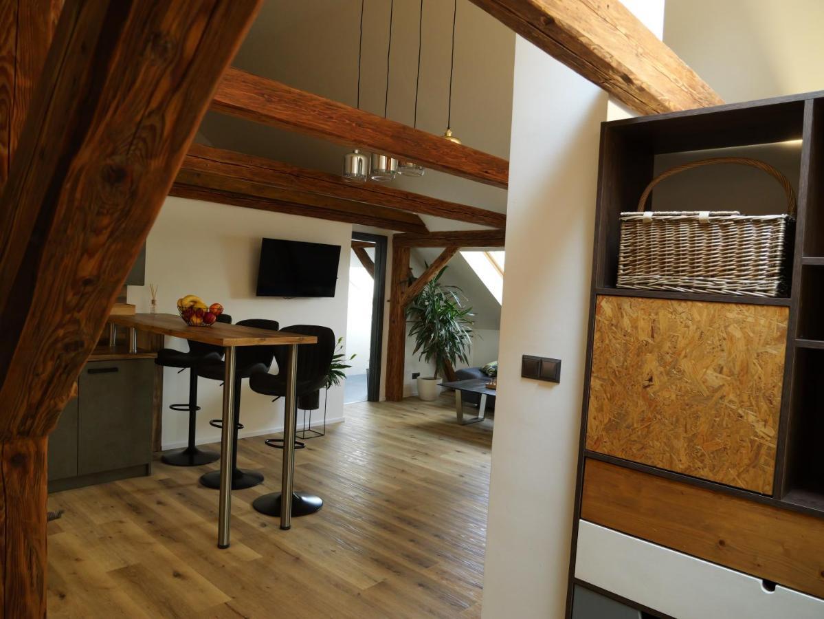 Apartman Danuse Česká Lípa Zewnętrze zdjęcie